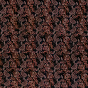 MY JOSEPHINE 15/10/2026